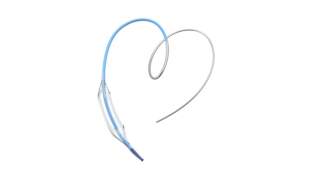 Vessridge Coronary Non-Slip Element Balloon Dilatation Catheter