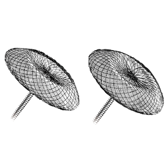 Structural Heart Diseases Products